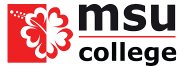 Logo - Management & Science University (MSU)